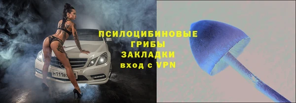 PSILOCYBIN Богородицк