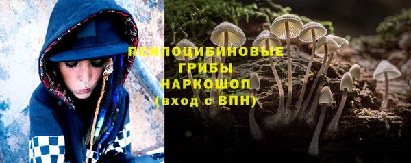 PSILOCYBIN Богородицк